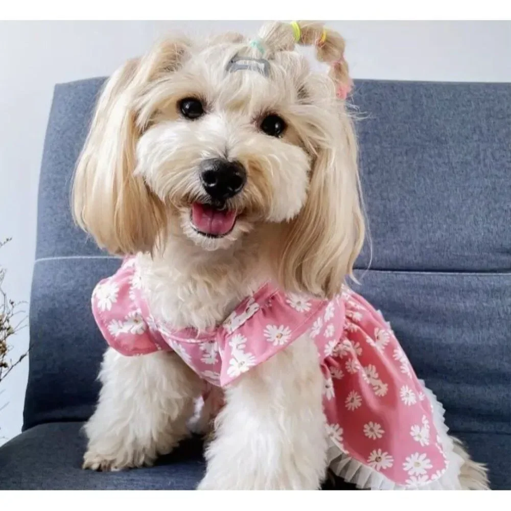 Daisy Breathable Pink Dog Cat XS‎ Pet Dress NWOT